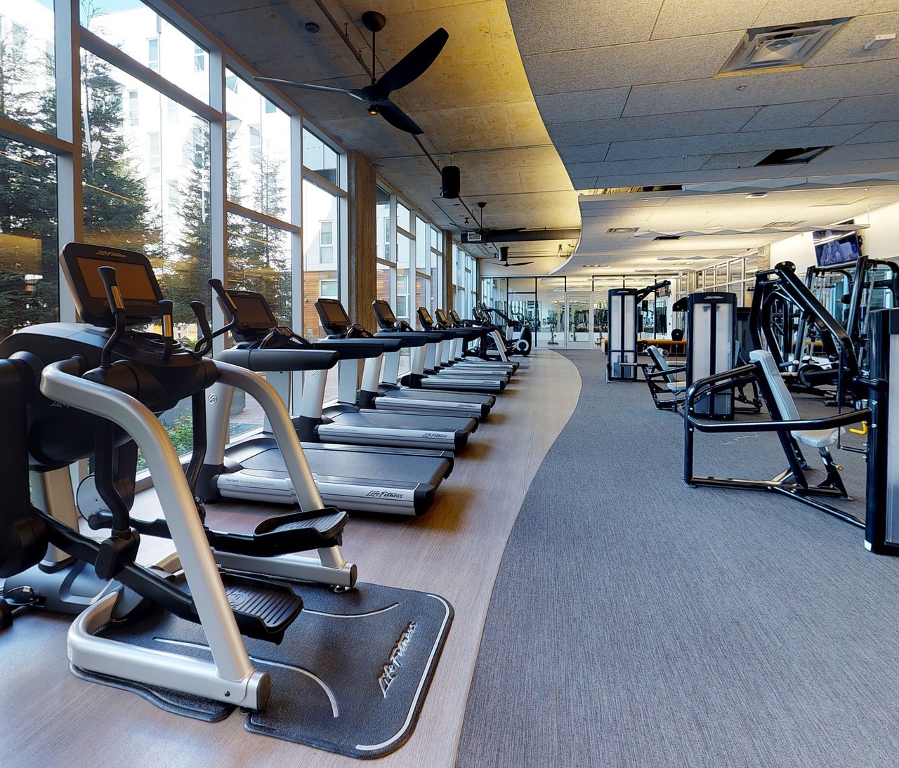 Long row of treadmills and cardio machines beside large windows in a bright 24-hour gym in Japan