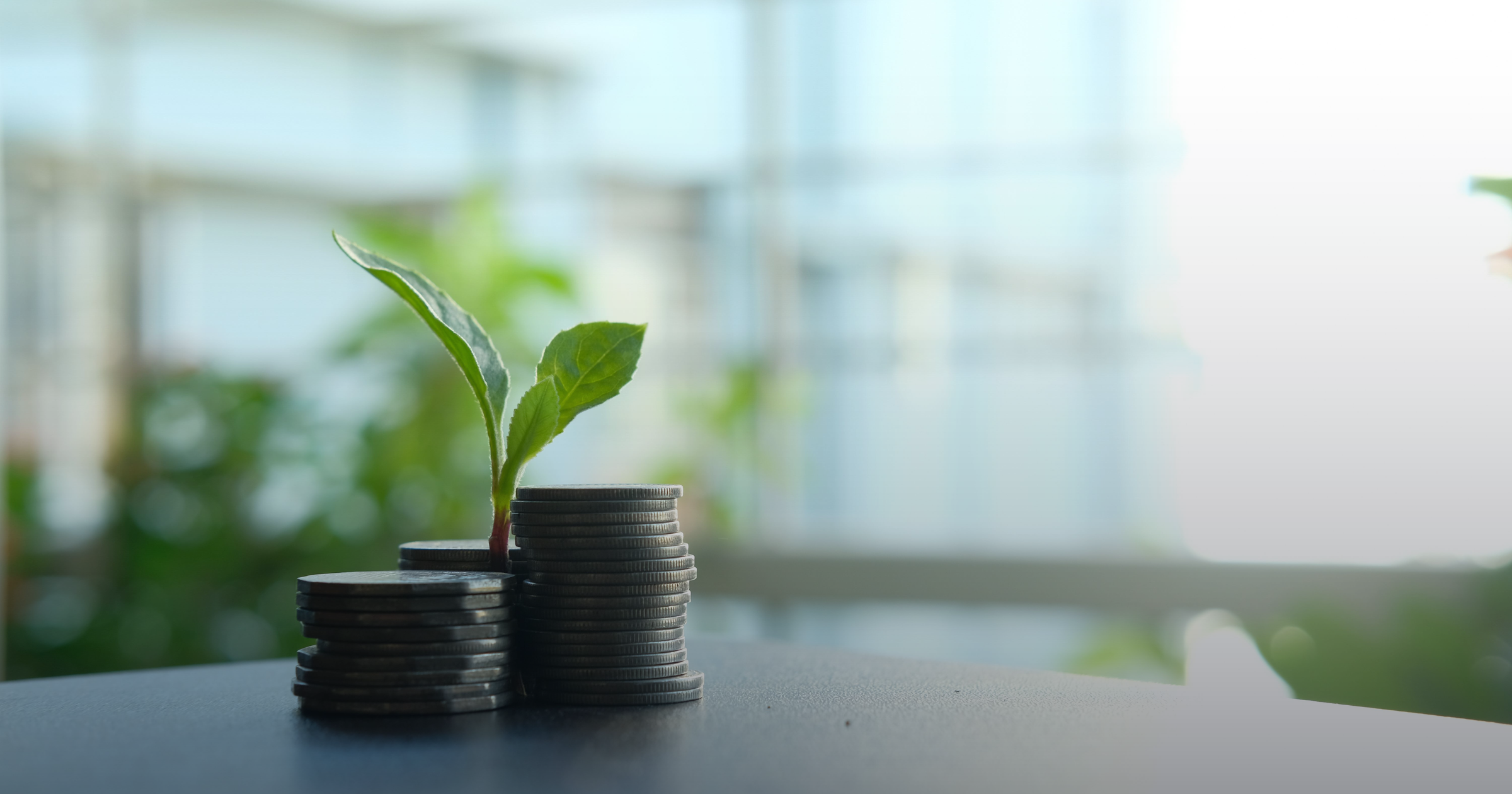 Green sprout growing from stacks of coins, symbolizing long-term investment growth
